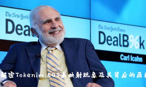  解密Tokenim：EOS未映射现象及其背后的原因