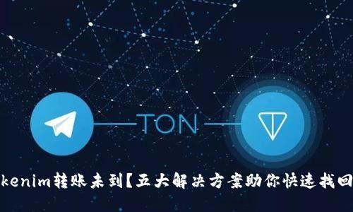 : Tokenim转账未到？五大解决方案助你快速找回资产