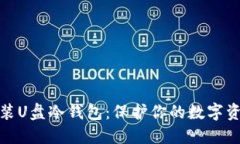 如何安装U盘冷钱包：保护你的数字资产安全