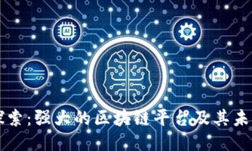 深入探索：强大的区块链平台及其未来潜力