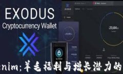 探索Tokenim：羊毛福利与增长潜力的完美结合