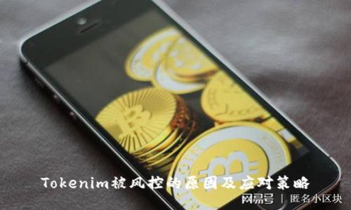 Tokenim被风控的原因及应对策略