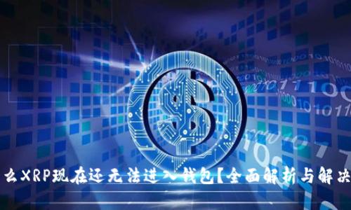 为什么XRP现在还无法进入钱包？全面解析与解决方案