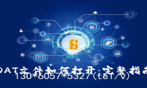 比特币钱包DAT文件如何打开：完整指南与实用技巧