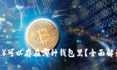 USDT（泰达币）可以存在哪种钱包里？全面解读及