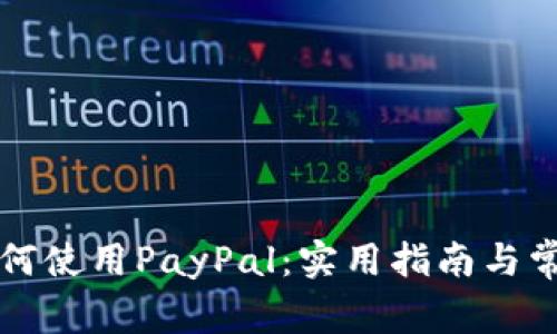 中国大陆如何使用PayPal：实用指南与常见问题解答