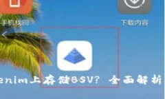 如何在Tokenim上存储BSV? 全面解析及注意事项