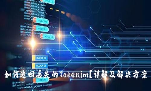 如何追回丢失的Tokenim？详解及解决方案