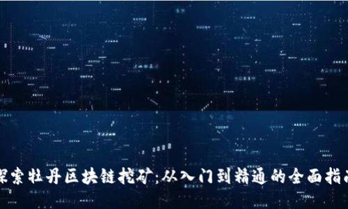 探索牡丹区块链挖矿：从入门到精通的全面指南